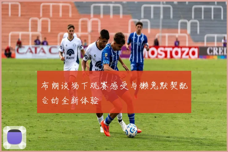 布朗谈场下观赛感受与獭兔默契配合的全新体验