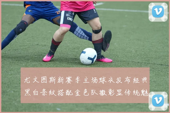 尤文图斯新赛季主场球衣发布经典黑白条纹搭配金色队徽彰显传统魅力