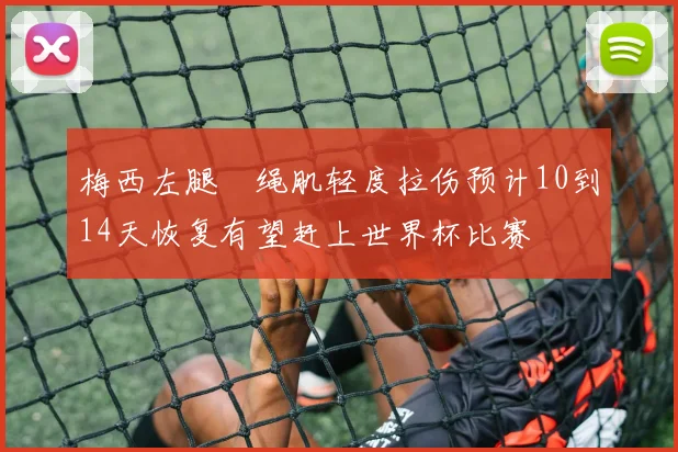 梅西左腿腘绳肌轻度拉伤预计10到14天恢复有望赶上世界杯比赛