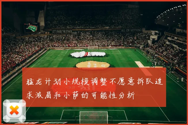 猛龙计划小规模调整不愿意拆队追求浓眉和小萨的可能性分析